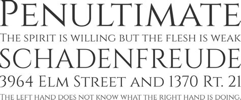 Cinzel Font Free by Natanael Gama » Font Squirrel.